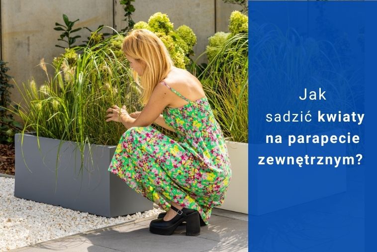 Jakie sadzić kwiaty na parapecie zewnętrznym?