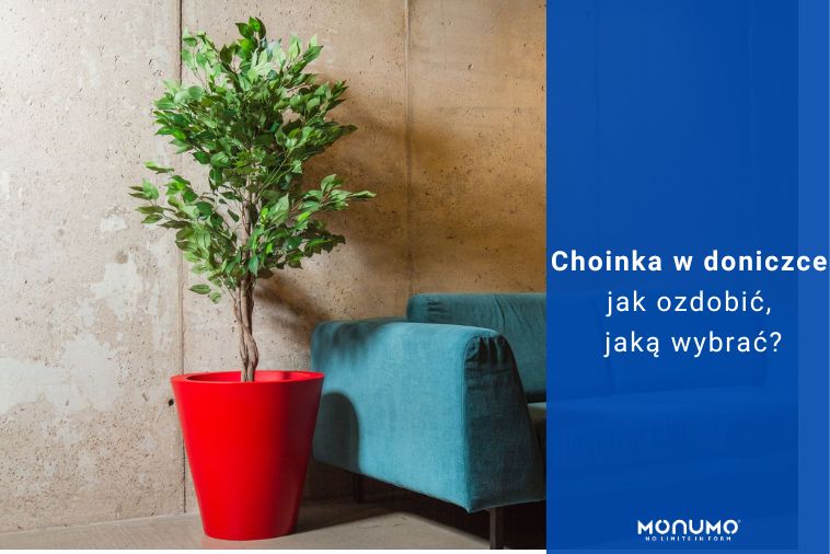 Choinka w doniczce jak ozdobić, jaką wybrać?