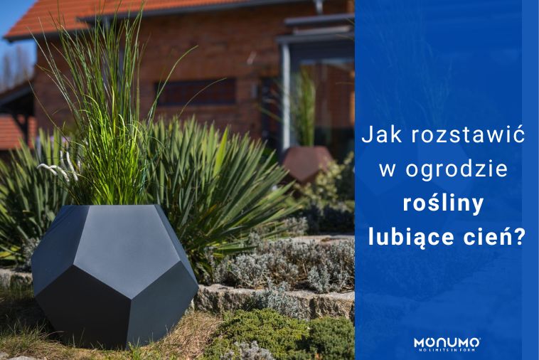 Jak rozstawić w ogrodzie rośliny lubiące cień?