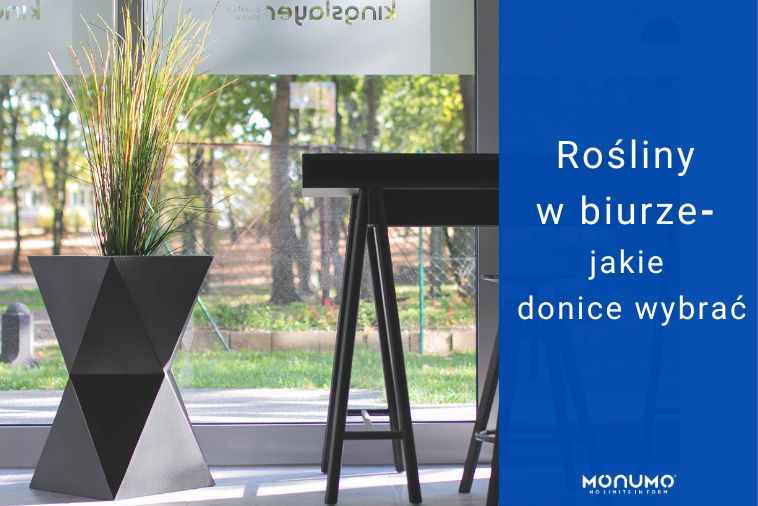 Rośliny w biurze – jakie donice wybrać?