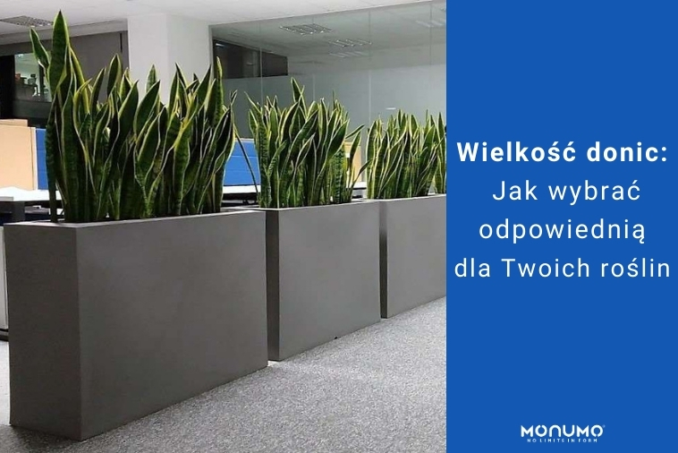 Wielkość donic: Jak wybrać odpowiednią dla Twoich roślin