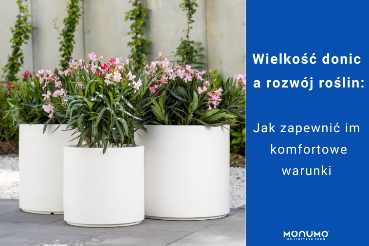 Wielkość donic a rozwój roślin: Jak zapewnić im komfortowe warunki