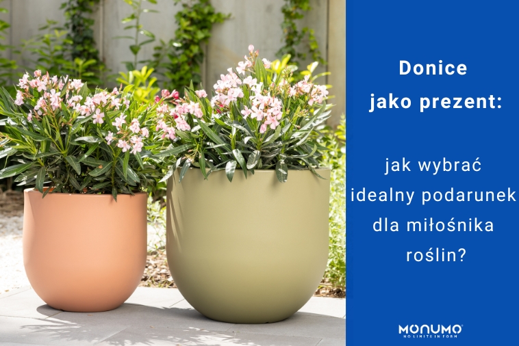Donice jako prezent: jak wybrać idealny podarunek dla miłośnika roślin?