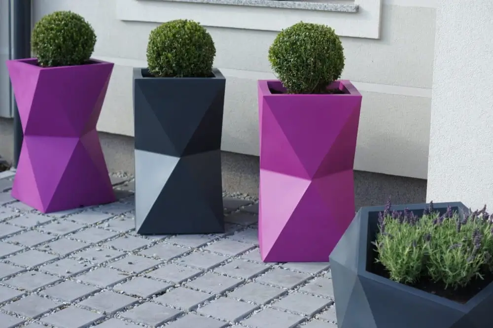 Rozmiar doniczki — jak dobrać odpowiedni?